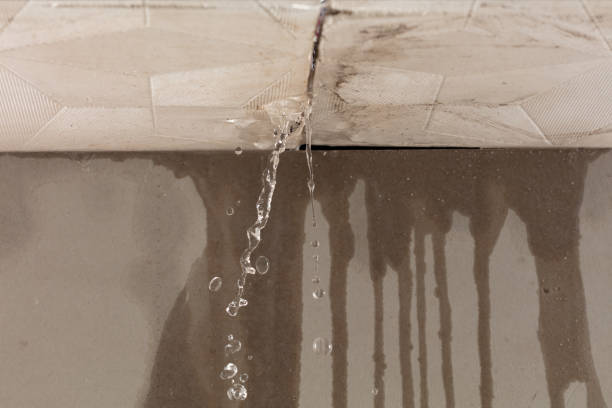 Professional Flood Damage Cleanup technician working in De Graff, OH